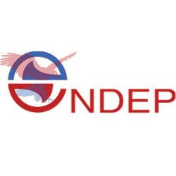 logo CNDEP